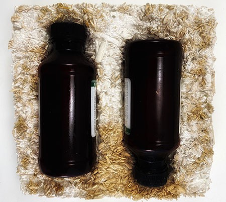 Two bottles that fit perfectly into mushroom material.