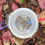 A bug vacuum collector made from a small plastic cup and straws