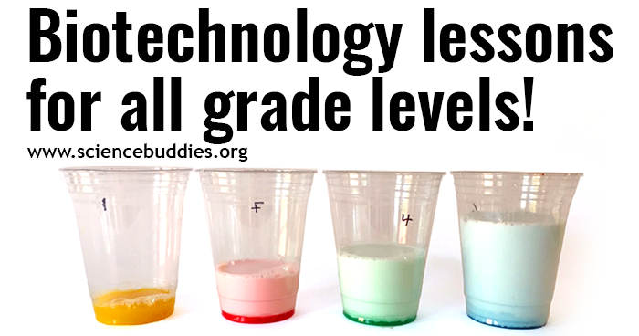 Four cups with different levels of foaming from a biotechnology chemistry lesson
