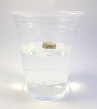 Homemade magnetic compass floats in a cup of water