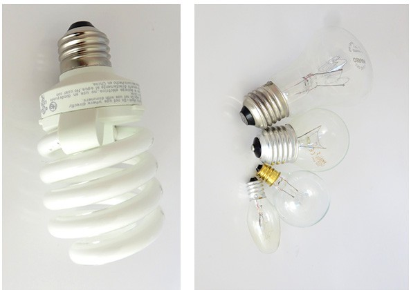 Photos of a fluorescent light bulb and a variety of incandescent light bulbs