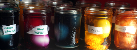 Egg Science / natural dyes