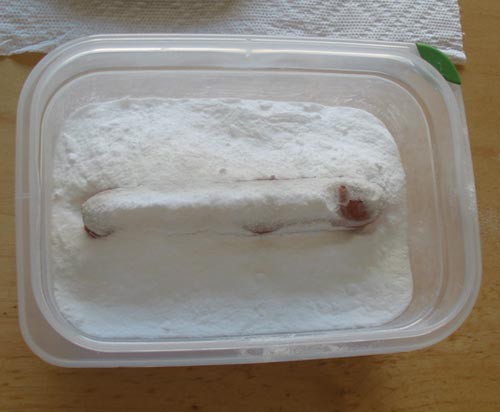 A tupperware container filled with enough baking soda to completely coat a store bought hot dog