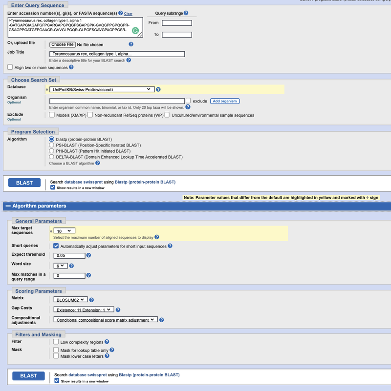 Screenshot of a nucleotide BLAST search box on the website ncbi.nlm.nih.gov