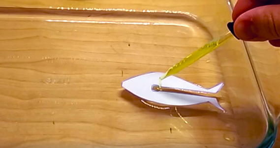 Paper fish in a container of water for surface tension experiment