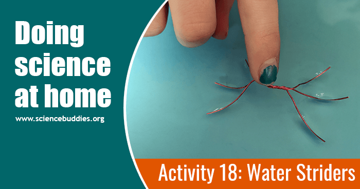 Student touching a wire water strider floating in a plate of colored water
