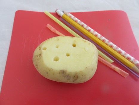 A cut potato with different size holes in it and two pencils and three straws next to it.