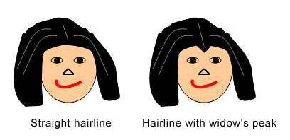 Drawing of a girl with a straight hairline to the left of a drawing of a girl with a widow's peak