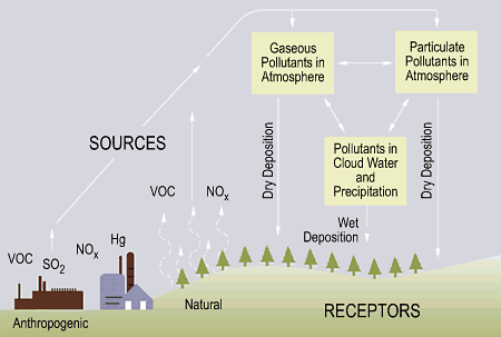 Diagram of the acid rain cycle