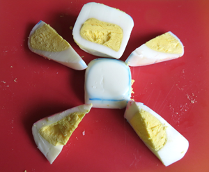 Egg Mold Shapes Hard-boiled Family Science activity