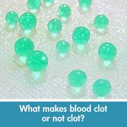 Blood clotting science project