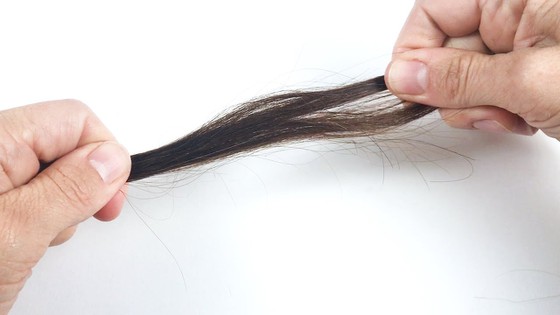 How Strong Is Your Hair? | STEM Activity How Strong Is Your Hair? | STEM Activity