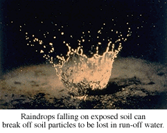 Small amounts of loose soil is ejected into the air from the impact of a water drop