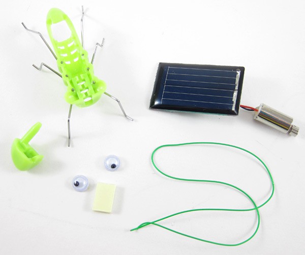 A plastic grasshopper body and head, solar panel, motor, green wire, plastic eyes and double sided tape