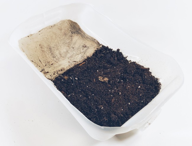 A cut-open gallon jug. One-third of the container has a clay layer,  the two-thirds close to the spout have a layer of potting soil. 