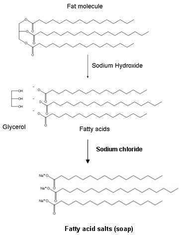 Diagram of saponification of a fat molecule.