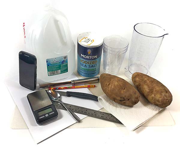 Materials needed for this potato osmosis STEM activity