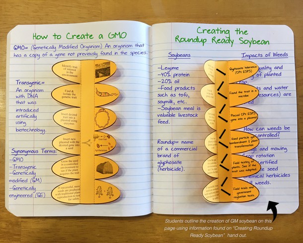 creating gmo