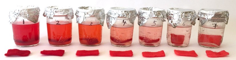 Seven cups of Red 40 solution and the accompanying wool that was dyed in each cup