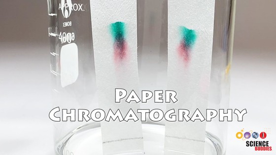 Paper Chromatography: The Art & Science of Color - Yellow Springs Toy  Company