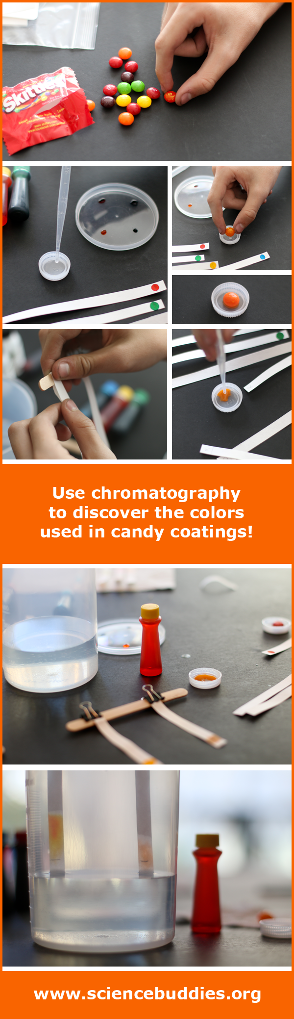 Candy Color Chromatography experiment and photos of hands-on science STEM project with kids at home / family science