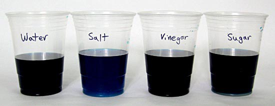 Four plastic cups are filled with a dark blue solution and are labeled water, salt, vinegar and sugar