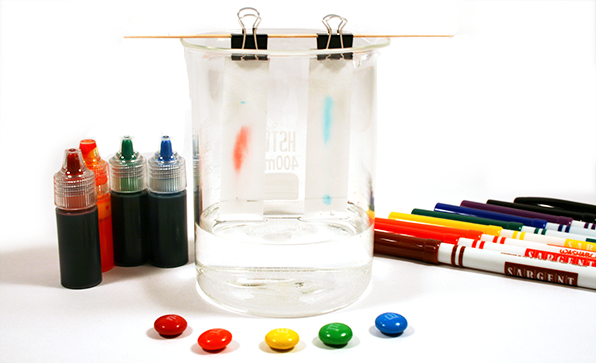 Beaker with two strips of chromatography paper showing colors in candies