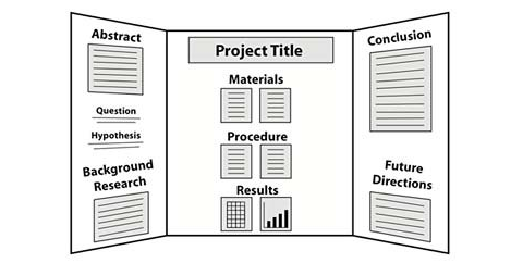 Drawing of an example display board layout for a science fair board