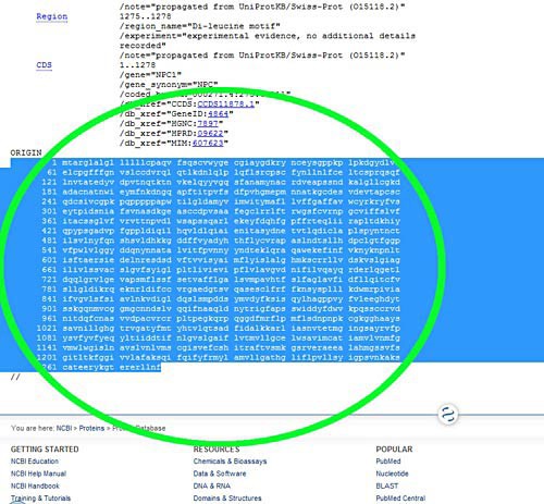 The amino acid sequence of a protein is found under the heading 'Origin' on the website ncbi.nlm.nih.gov