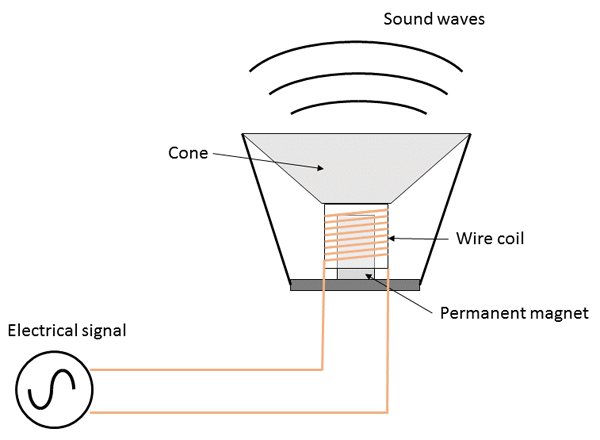 Diagram of a speaker shows a magnet surrounded by coiled wire behind the speaker cone