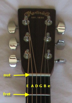 Close up view of a guitar's headstock up to the first fret that has six tuning pins and strings pulled over a nut
