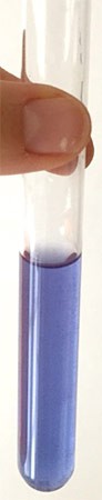 A test tube filled with a translucent blue liquid