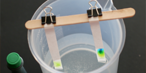 Green Candy Chemistry / Chromatography project and kit for dye exploration with candies