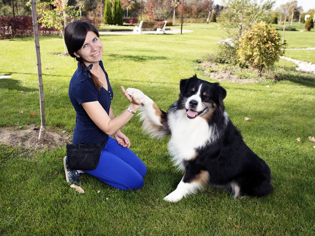 Animal Trainer | Science & Engineering Career Animal Trainer | Science & Engineering Career