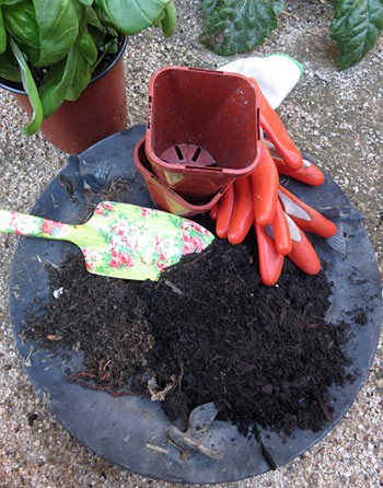 Worm manure and soil are mixed together with a small shovel