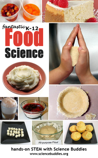 Food Science Projects for K-12 Students