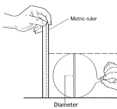 Diagram of a ruler measuring the diameter of an inflated balloon that is laying on the ground on its side