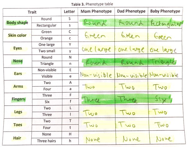 Filled out alien phenotype table that shows the phenotype of both parents as well as the baby alien for all 10 traits.