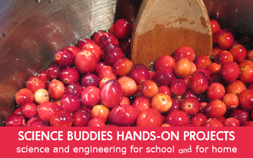 Weekly Science Activity Spotlight / Cranberry Sauce Science Project for School or Family Science