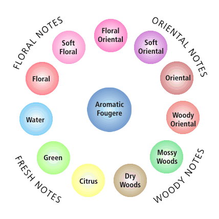 Diagram of a fragrance wheel describes smells with four notes