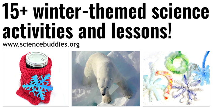 Polar bear, Christmas candle carousel, and winter-themed crystals to represent winter science activities and lessons