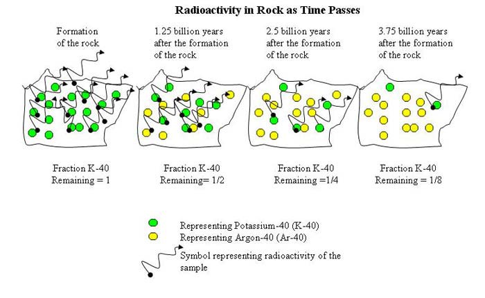 Illustration of potassium-40 decaying over time