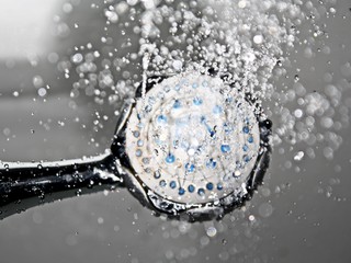 Shower head