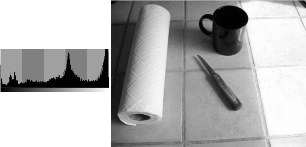 Histogram measures the gray value of pixels in an image taken on the right