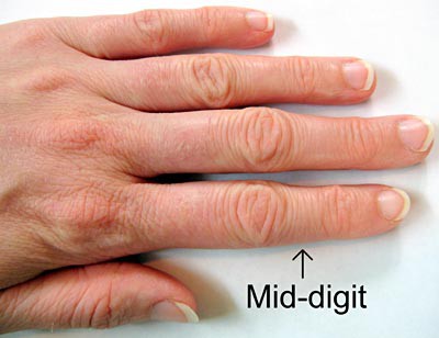 A hand with the mid-digit labeled as the area between the second and third joint of a finger