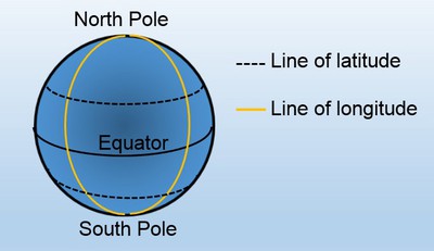 A globe with the top labeled 'North Pole', the bottom labeled as 'South Pole'. Lines connecting the top and bottom are labeled  'lines of longitude'. The line that is equidistant from the North and South pole is labeled Equator.  