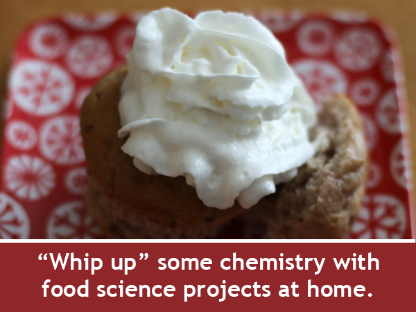 Whip Up Some Science in the Kitchen / Family chemistry projects