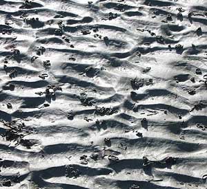 Photo of ripples in sand