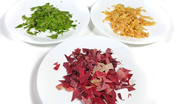 Three plates next to each other. On each plate is a pile of cut leaves, one green, one yellow, and one red.