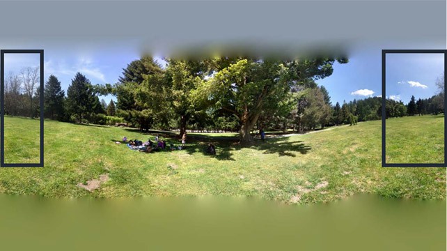 A flattened photo sphere image of trees in a field appears warped near the edges